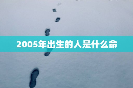 2005年出生的人是什么命