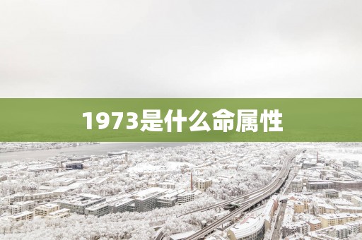 1973是什么命属性