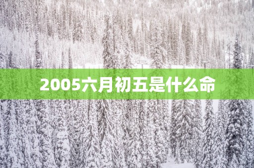 2005六月初五是什么命