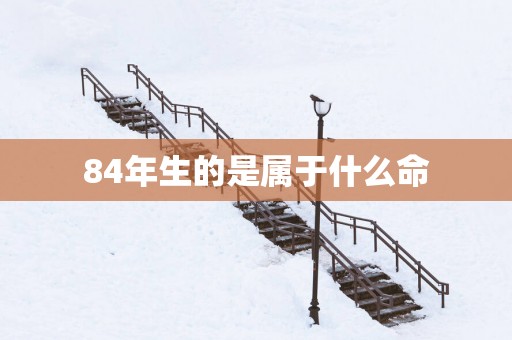 84年生的是属于什么命