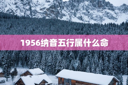 1956纳音五行属什么命