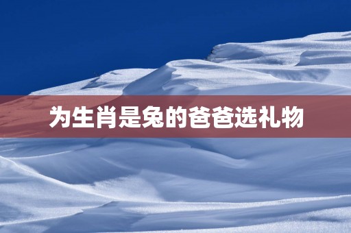 为生肖是兔的爸爸选礼物