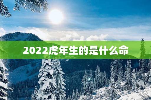 2025蛇年生的是什么命
