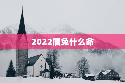 2025属兔什么命