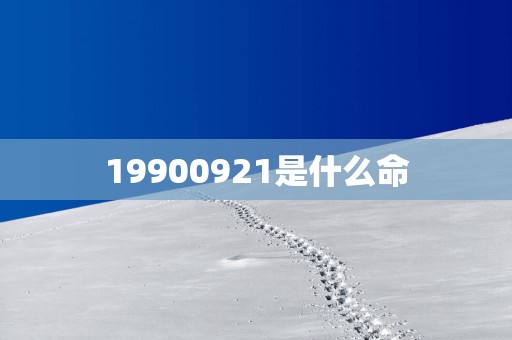 19900921是什么命