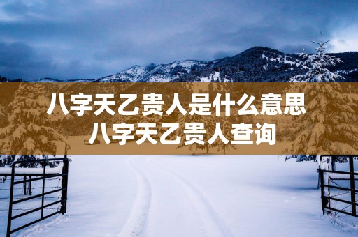 八字天乙贵人是什么意思  八字天乙贵人查询