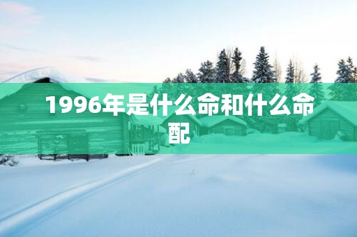 1996年是什么命和什么命配