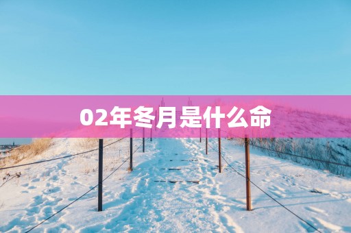 02年冬月是什么命