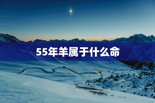 55年羊属于什么命