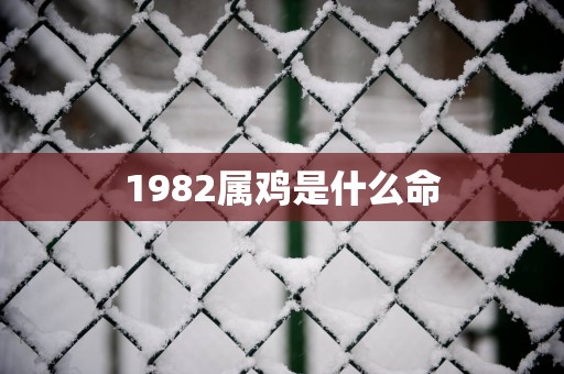 1982属鸡是什么命