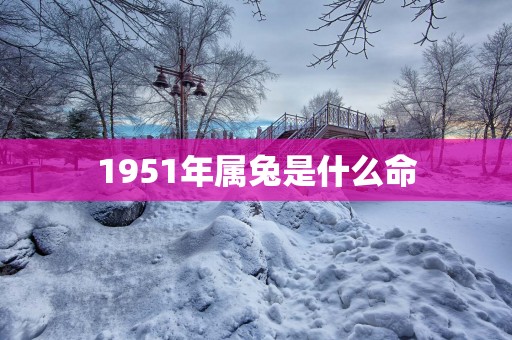 1951年属兔是什么命