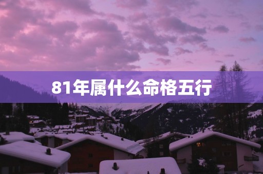 81年属什么命格五行