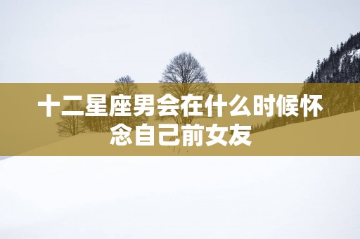 十二星座男会在什么时候怀念自己前女友