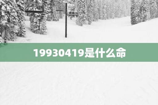 19930419是什么命