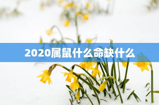 2026属鼠什么命缺什么