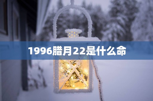1996腊月22是什么命