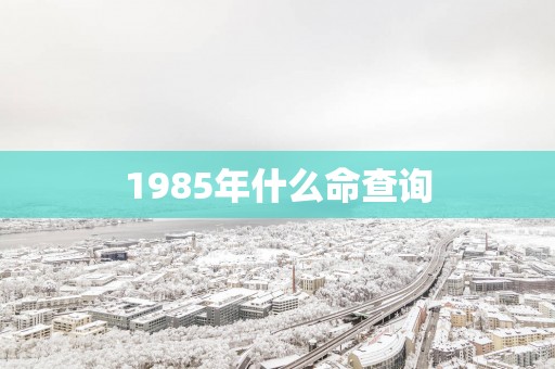 1985年什么命查询