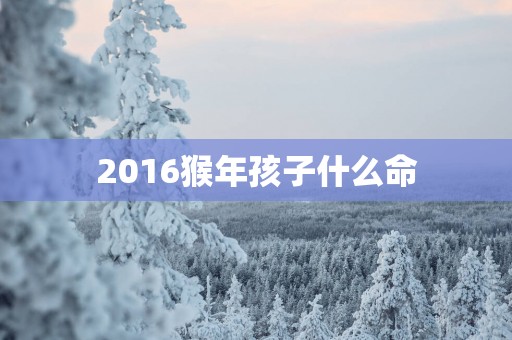 2016猴年孩子什么命