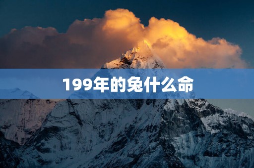 199年的兔什么命