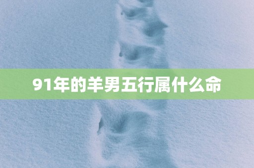 91年的羊男五行属什么命