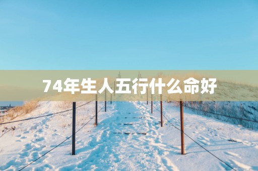 74年生人五行什么命好