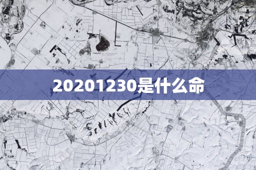 20251230是什么命