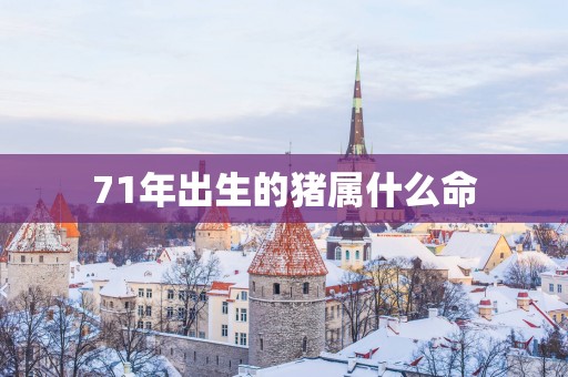 71年出生的猪属什么命