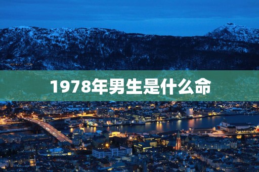 1978年男生是什么命