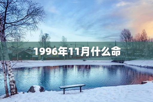 1996年11月什么命