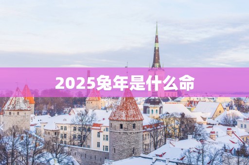 2025蛇年是什么命