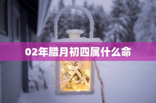 02年腊月初四属什么命