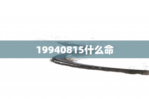 19940815什么命