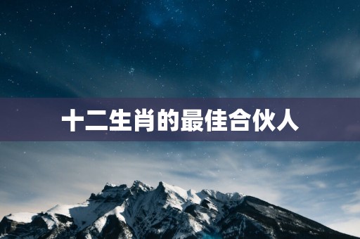 十二生肖的最佳合伙人