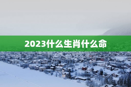 2025什么生肖什么命