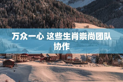 万众一心 这些生肖崇尚团队协作