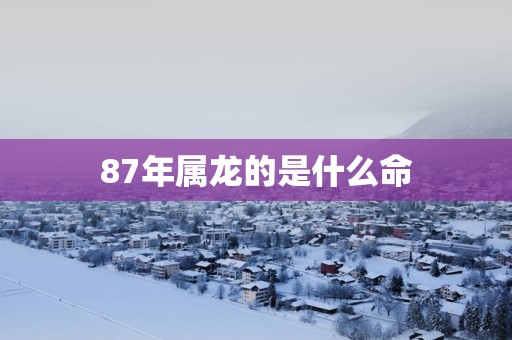 87年属龙的是什么命