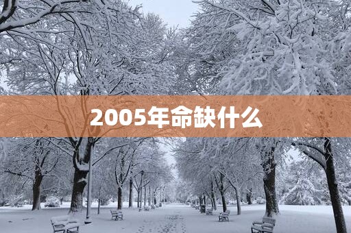 2005年命缺什么