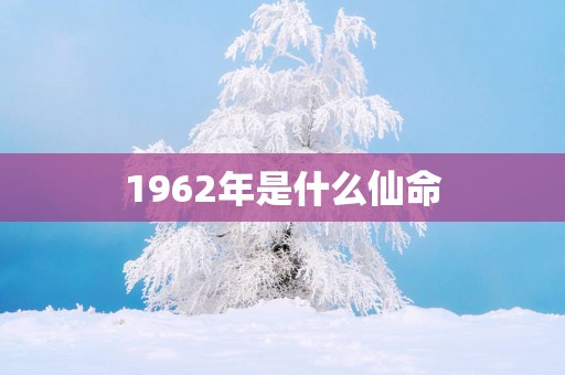 1962年是什么仙命