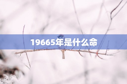 19665年是什么命