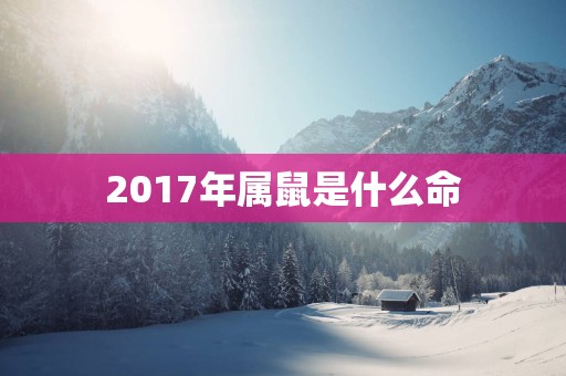 2017年属鼠是什么命