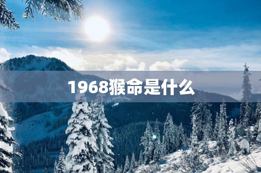 1968猴命是什么