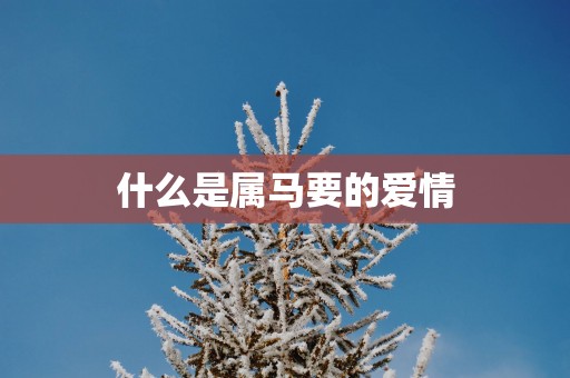 什么是属马要的爱情