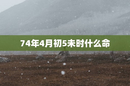 74年4月初5未时什么命