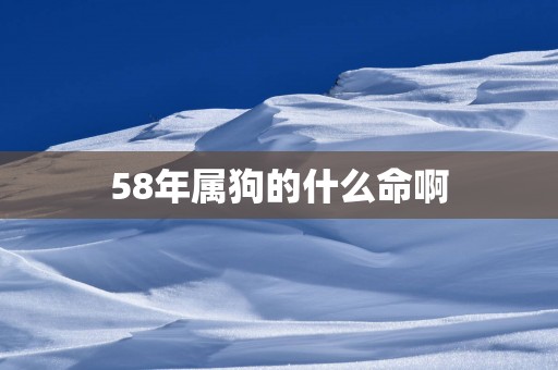 58年属狗的什么命啊