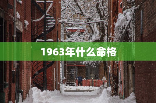 1963年什么命格