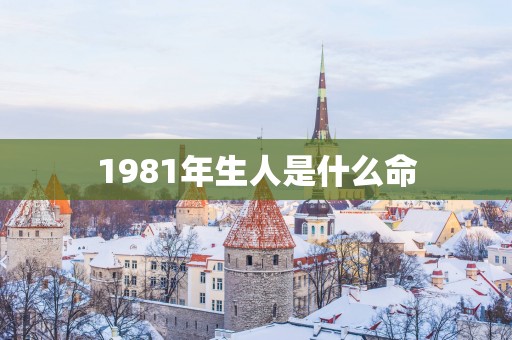 1981年生人是什么命