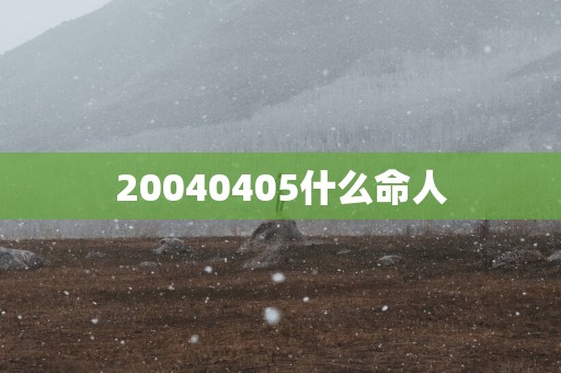20040405什么命人