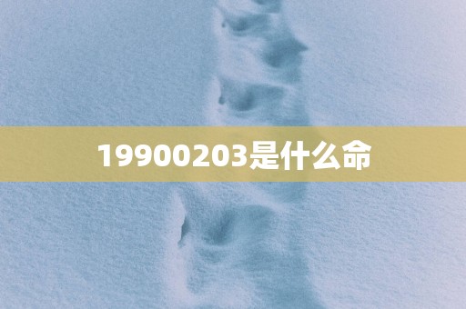 19900203是什么命