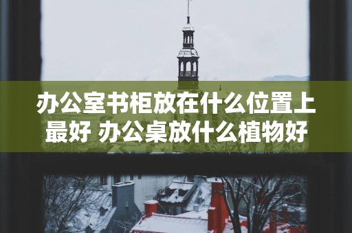 办公室书柜放在什么位置上最好 办公桌放什么植物好风水好