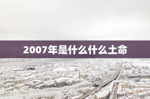 2007年是什么什么土命